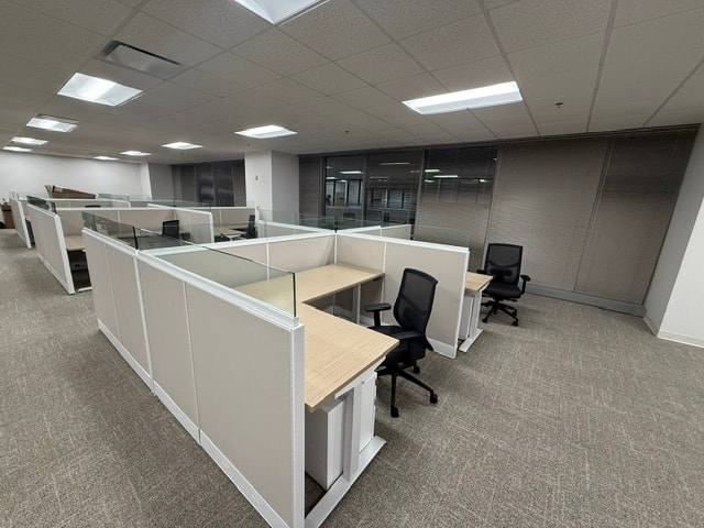 12-workstation open plan with glass privacy panels